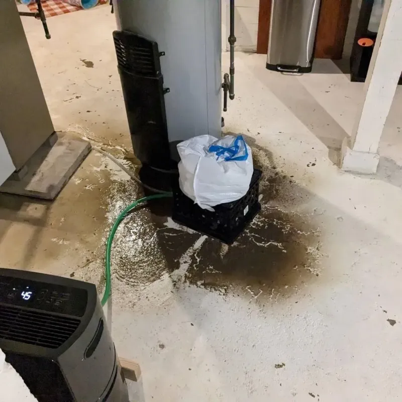Sewage Backup Cleanup Service in Porter Heights, TX